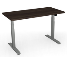 Load image into Gallery viewer, 3-Stage Height Adjustable Desk- Quick Ship (SYM)