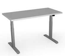 Load image into Gallery viewer, 3-Stage Height Adjustable Desk- Quick Ship (SYM)
